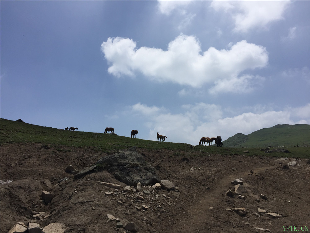 灵山22.jpg