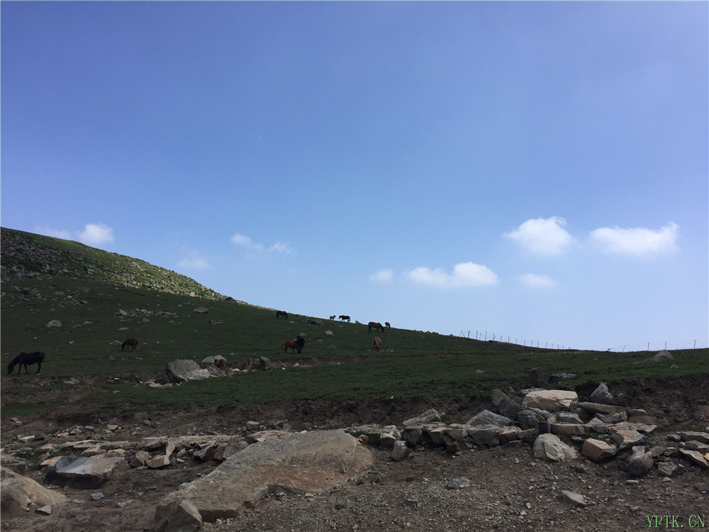 灵山19.jpg