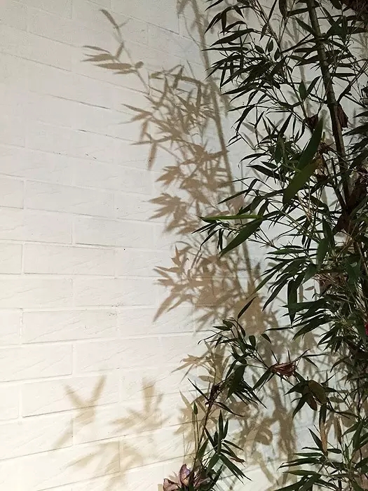 点击查看原图 640.webp (8).jpg