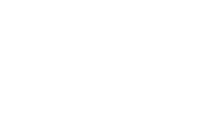 花乱开